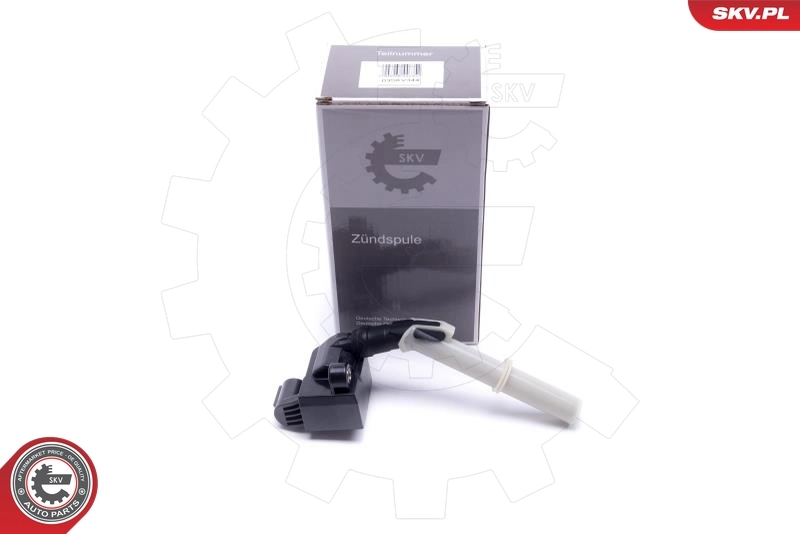 Ignition Coil